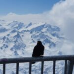 Mount Titlis Train Ticket and Self-Guided Tour from Luzern - The Value of This Experience