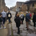 Mount Vesuvius Shore Tour, Pompeii & Winery Vesuvius Winery - Practical Aspects of the Tour