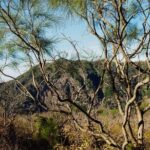 Mount Vesuvius Skip the Line Ticket + Multilingual Audio Guide - The Itinerary Breakdown