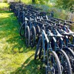 Mountain bike rental in Camargue - Who Should Consider This Tour?
