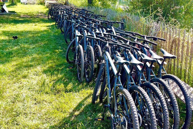 Mountain bike rental in Camargue - Who Should Consider This Tour?