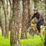 Mountain bike RENTAL one day (24 hours) all extras included. - Who Is This Tour Best For?