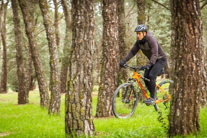 Mountain bike RENTAL one day (24 hours) all extras included. - Who Is This Tour Best For?