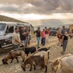 Mountains of Crete 4x4 Tour with Taverna Lunch - What Travelers Say About the Tour