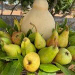 Mozzarella Experience - From the Reviewers: What Makes This Experience Special?