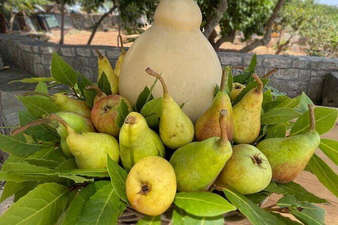 Mozzarella Experience - From the Reviewers: What Makes This Experience Special?