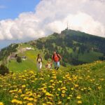 Mt Rigi and Lucerne Day Trip from Zurich With Boat Ride - Transportation & Logistics