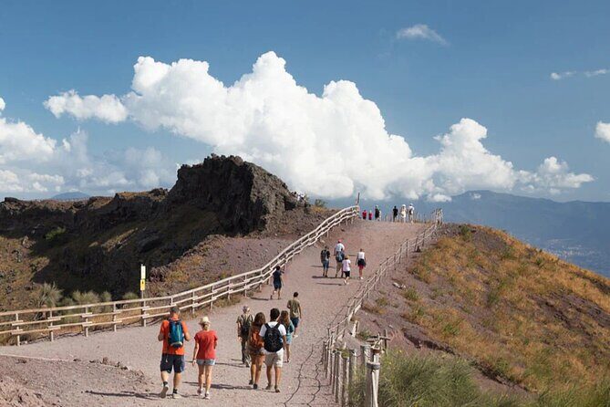 Mt. Vesuvius (Tour+Transfer) - Who Will Love This Tour?