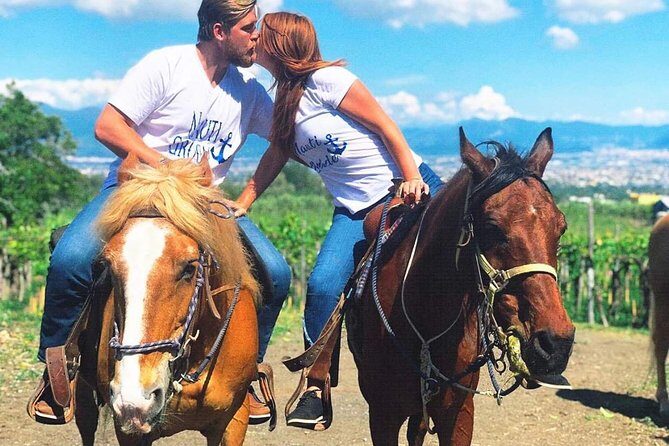 Mt. Vesuvius Wine Tasting and Lunch Experience from Pompeii - Practical Details & Tips