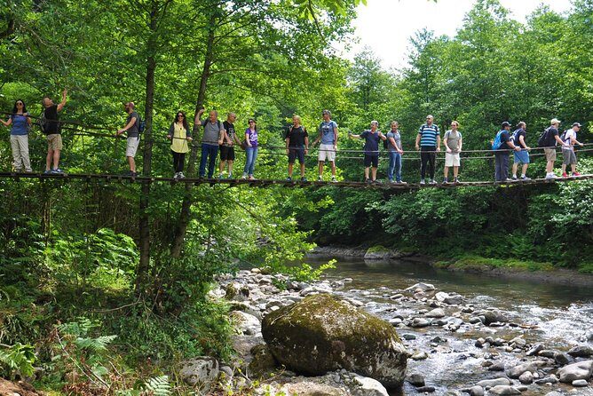 Mtirala National Park Tour - Practical Details and What You Get