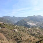 Mudejar Route and White Villages Small-Group Tour with Lunch - Why This Tour Offers Great Value