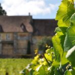 Multi Day Private Tour Prestige Burgundy with 12 Premiers & Grands Crus - What Makes This Tour Special?