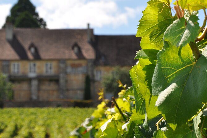 Multi Day Private Tour Prestige Burgundy with 12 Premiers & Grands Crus - What Makes This Tour Special?