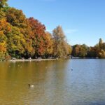 Munich 2-Hour Segway Tour - The Itinerary in Detail