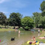 Munich: Mini Classic Bike Tour with Beer Garden Stop at 4 PM - An In-Depth Look at the Tour Experience