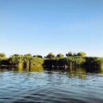 Murighiol: Danube Delta Guided Boat Tour - Who Should Consider This Tour?