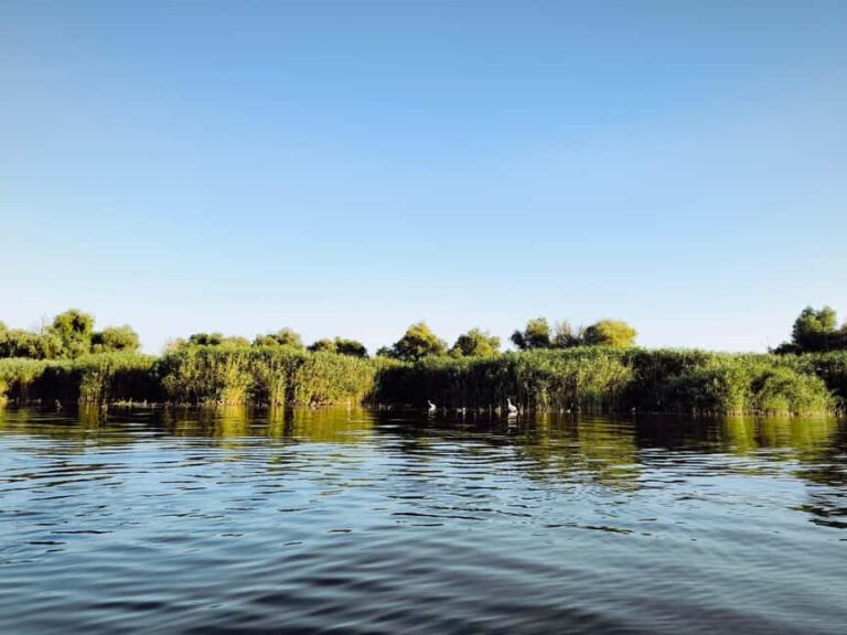 Murighiol: Danube Delta Guided Boat Tour - Who Should Consider This Tour?