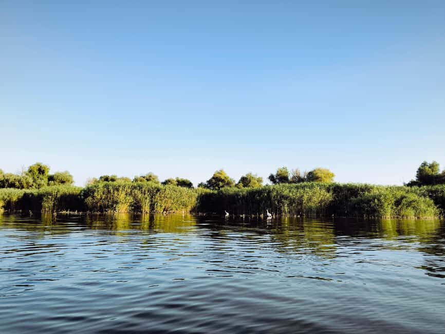 Murighiol: Danube Delta Guided Boat Tour - Who Should Consider This Tour?
