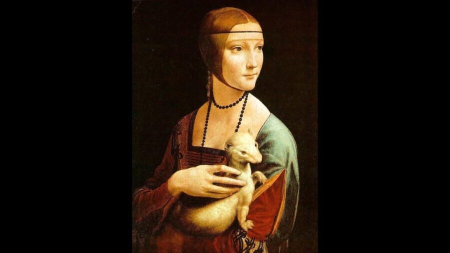 Museo Czartoryski: Visita in italiano e salta la fila. - Who is This Tour Ideal For?