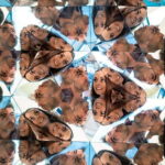 Museum of illusions Florence Entrance Ticket - What Reviewers Say