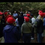 Mushroom or Truffle Hunting - Practical Details and Tips for Making the Most of Your Tour