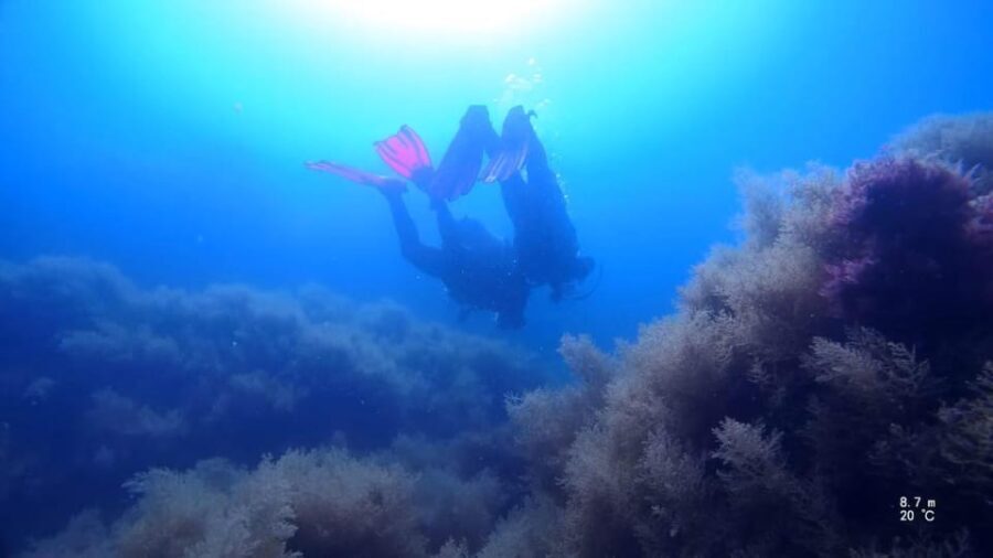 My first scuba dive in the Ocean from Madeira - The Practicalities
