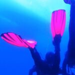 My first scuba dive into the Ocean from Sao Miguel - What Makes This Tour Stand Out?