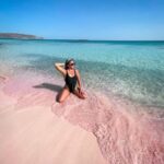 Mykonos: Beach Hopping Tour by Van - Elia Beach — A Classic Greek Beach Experience