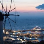 Mykonos Delight: A Perfect Day Trip from Your Cruise Ship - Who Is This Tour Best For?