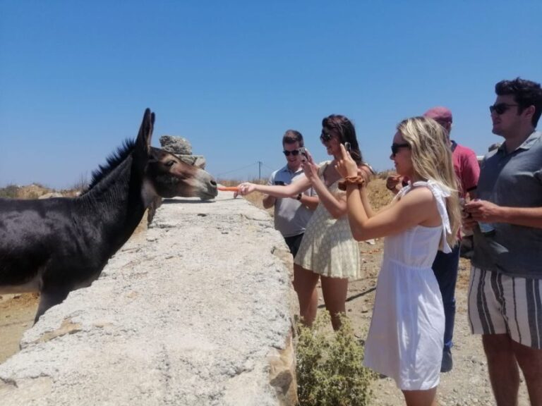 Mykonos: Highlights Tour with Panagia Tourliani Monastery - Why Travelers Love This Experience