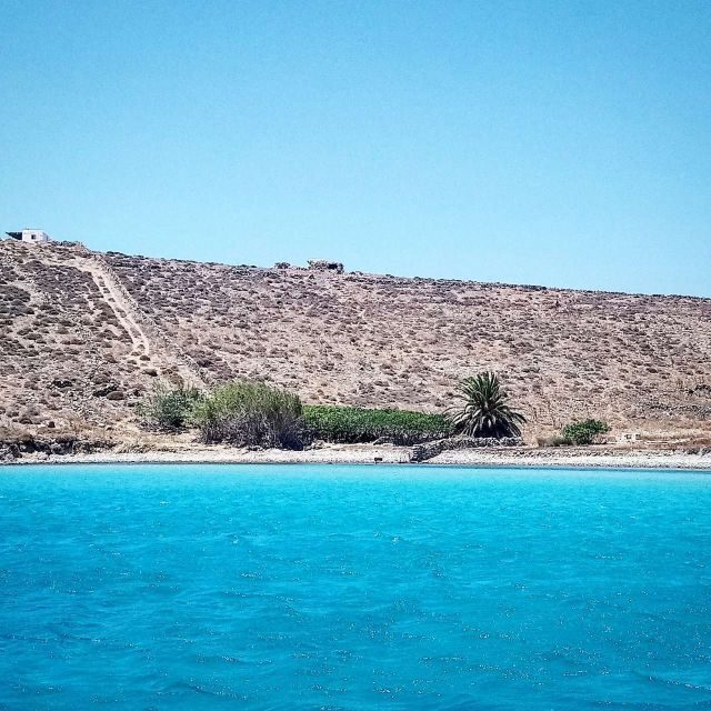 Mykonos: Private Delos and Rhenia 6hrs Cruise with Lunch - What Makes This Tour Stand Out