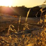 Mythical Yoga & Meditation Acropolis at Sunrise & Sunset - Final Thoughts: Why This Tour Is Worth Considering