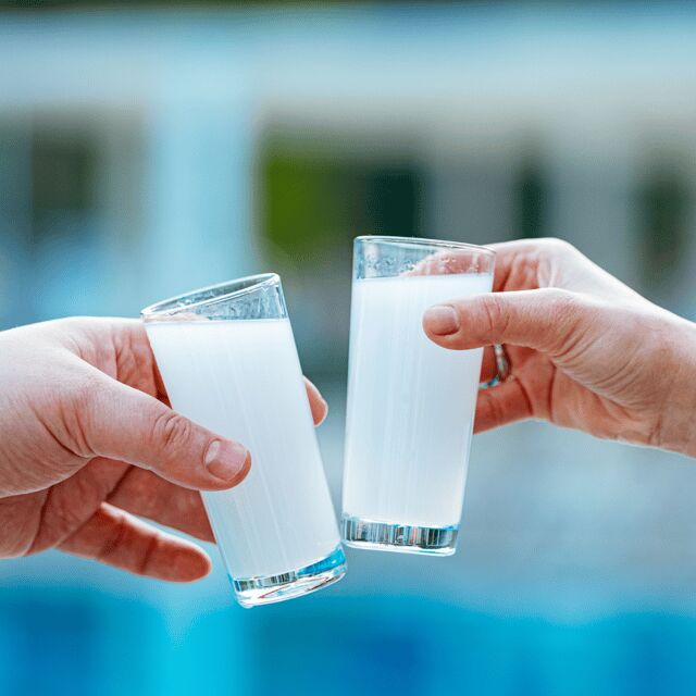 Nafplio: Greek Spirits Tasting - Who Should Enjoy This Experience?