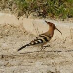 NATURA TOUR - Countryside of Lagos - ECO TUK and LOCAL guide - Final Thoughts