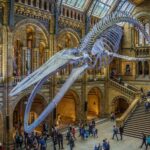 Natural Museum Adventure: Gems, Volcanoes, Dinosaurs - What to Expect and Practical Tips