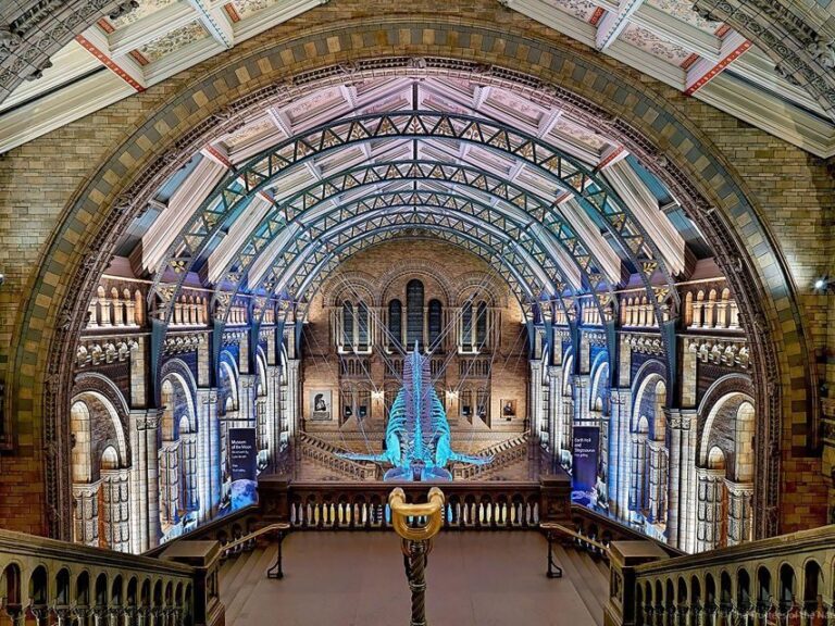 Natural Museum: Butterflies, Gems, Dinosaurs Explored - Why This Tour Works for Different Travelers