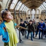 Natural Museum Secrets: Diplodocus, Blue Whale, Evolution - Exploring the Highlights