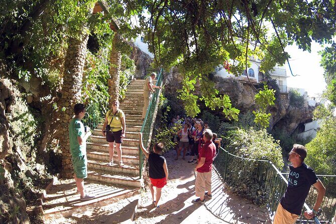 Natural Parck Jeep Eco Tour from Costa del Sol - The Transportation and Group Size