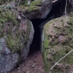 Nature Hike from Stockholm - Authenticity and Value: Why This Tour Works