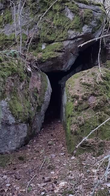 Nature Hike from Stockholm - Authenticity and Value: Why This Tour Works