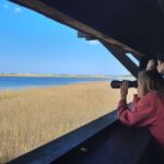 Nature Walk and Wildlife Tour in Sobieszewo Island - Is It Worth the Price?