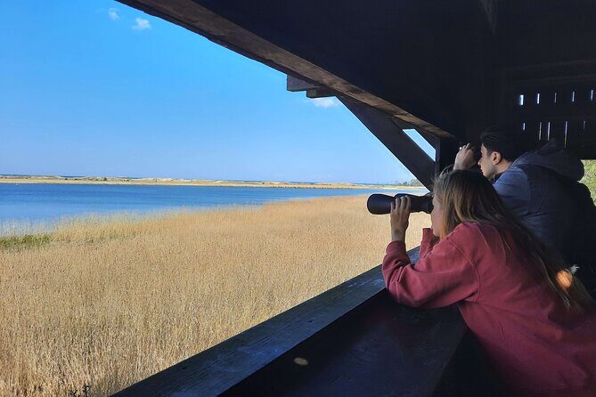 Nature Walk and Wildlife Tour in Sobieszewo Island - Is It Worth the Price?