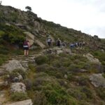 Naxos: Hike to the Top of the Cyclades - Mount Zas - Who Will Love This Tour?