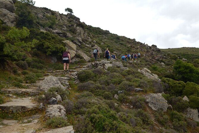 Naxos: Hike to the Top of the Cyclades - Mount Zas - Who Will Love This Tour?