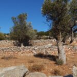 Naxos: Inland hike to explore local villages & antiquities - What We Loved & What to Keep in Mind