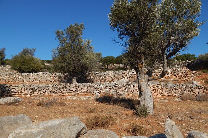 Naxos: Inland hike to explore local villages & antiquities - What We Loved & What to Keep in Mind
