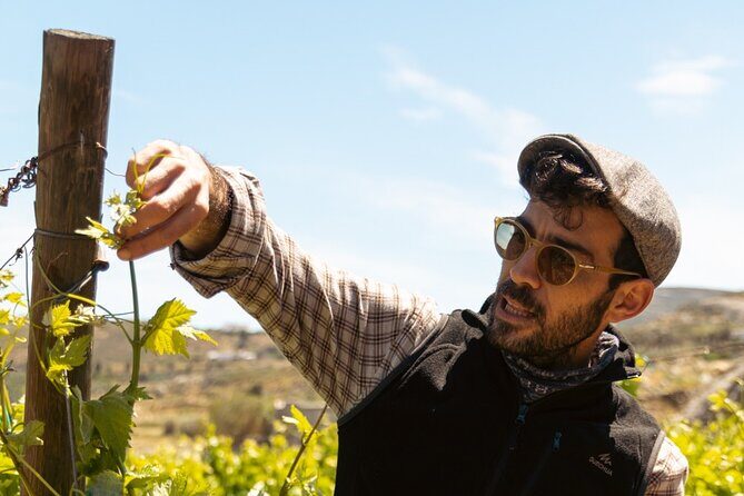 Naxos Private / Semi Private E-Bike Guided Tour Inland Methexis - What’s Included and What to Keep in Mind