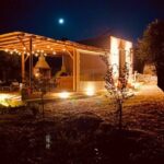 Naxos: Private Traditional Dining in the Olive Grove - Drinks and Atmosphere