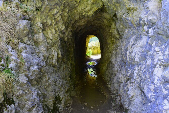 Nera Gorge National Park - Private Day Tour from Timisoara - Practicalities & Considerations