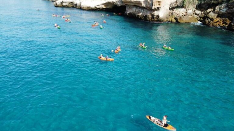 Nerja: Free Kayak Route along the cliffs of Nerja and Maro - The Experience in Action: What Reviewers Say